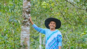 Cinnamon_Indonesia