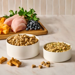 Flavor_Solutions_pet_food_and_treats_product_out_square_2026