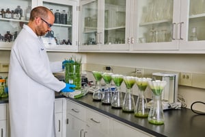 Working with Clean Extracts-2