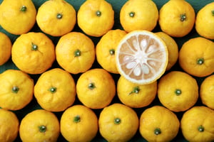 yuzu-1